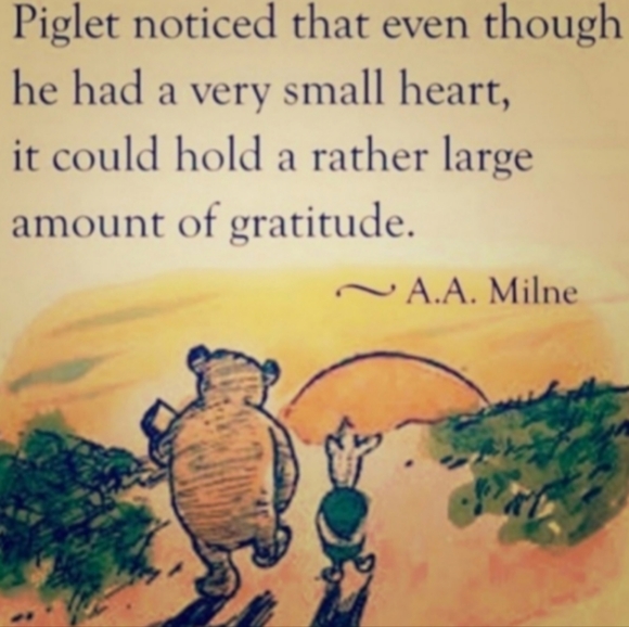 Vintage McDonalds FURBY BABIES BACKPACK HANGARS  EPLVC - Picture 5 of 16